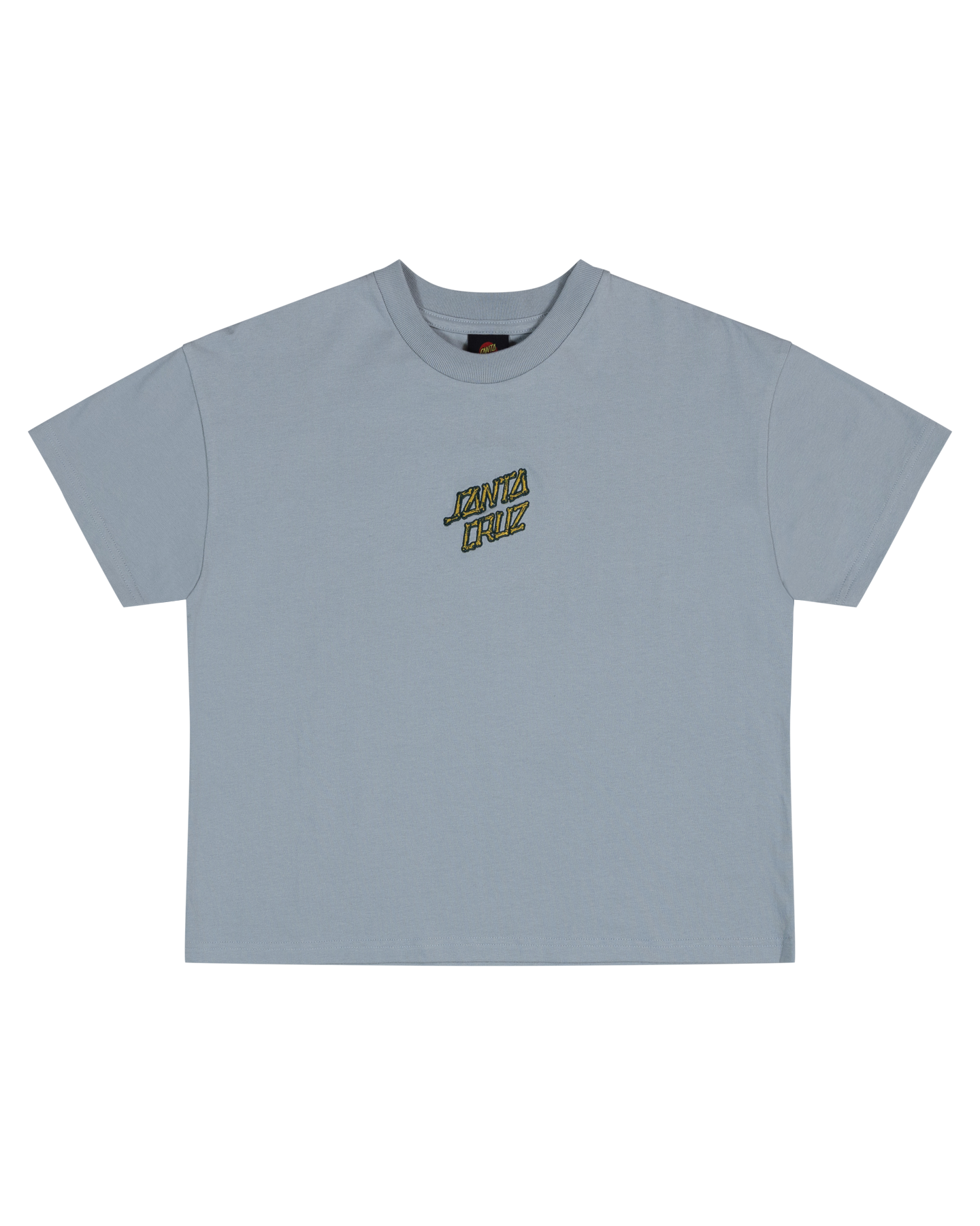 Santa Cruz Brain Dot Centre Tee Slate