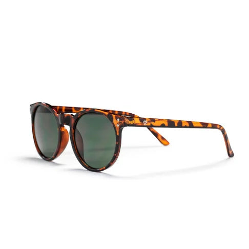 CHPO Brand Toro - Turtle Brown