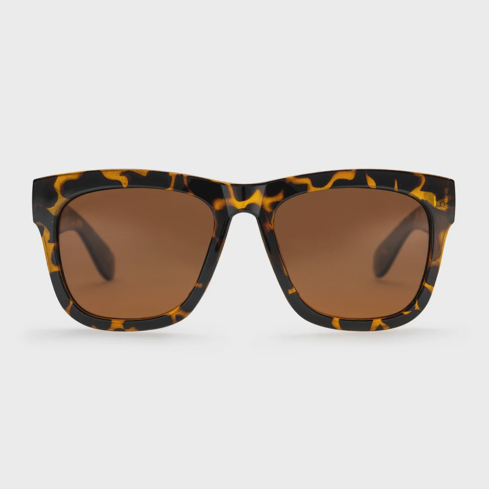 CHPO Brand Haze Turtle Brown