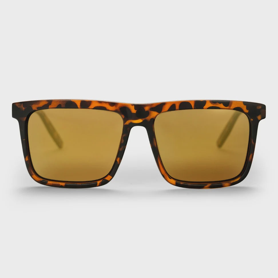 CHPO Brand Bruce Turtle Brown