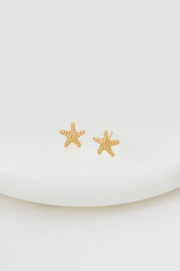 Zafino Starfish Stud - Gold