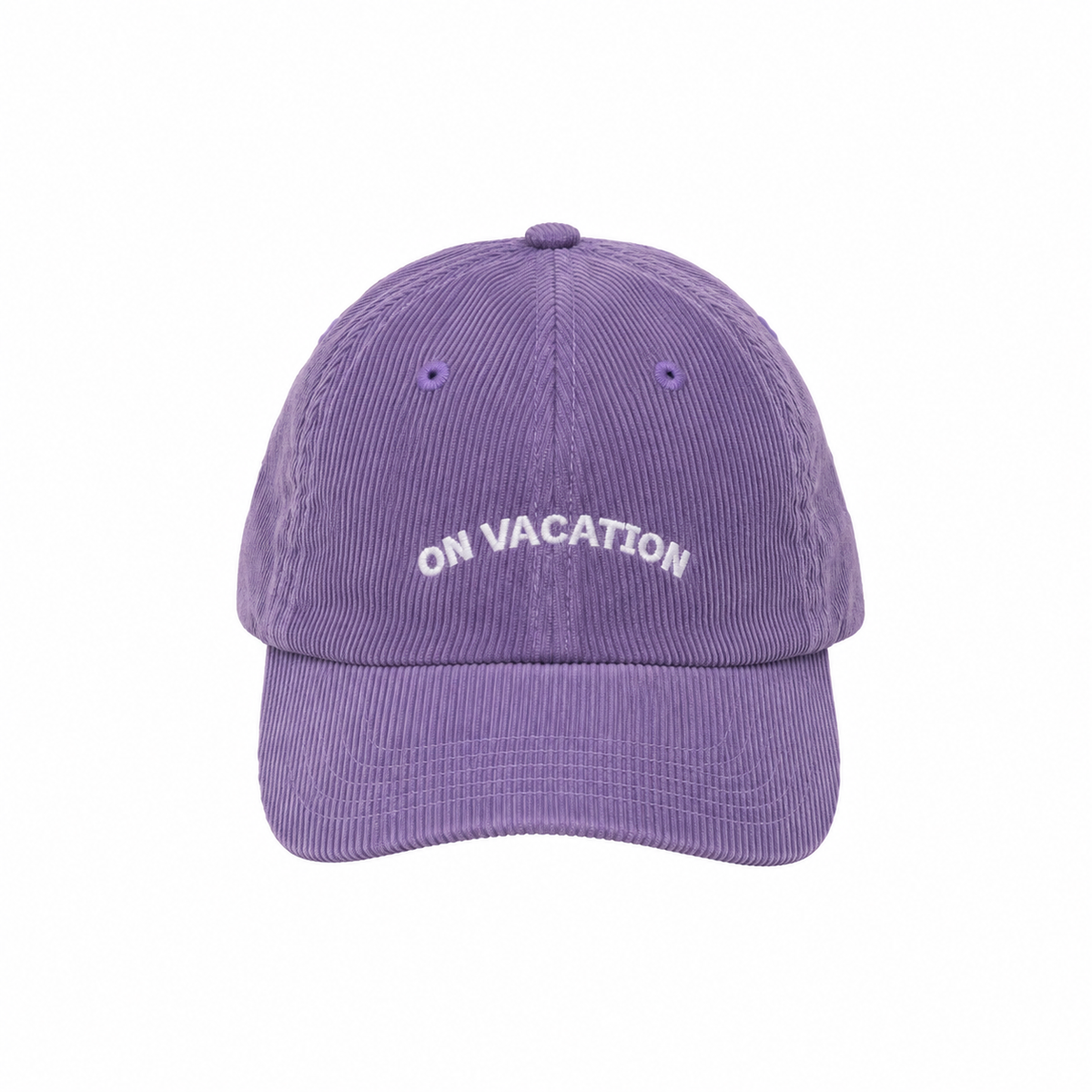 Hello Stranger Dad Cap Purple