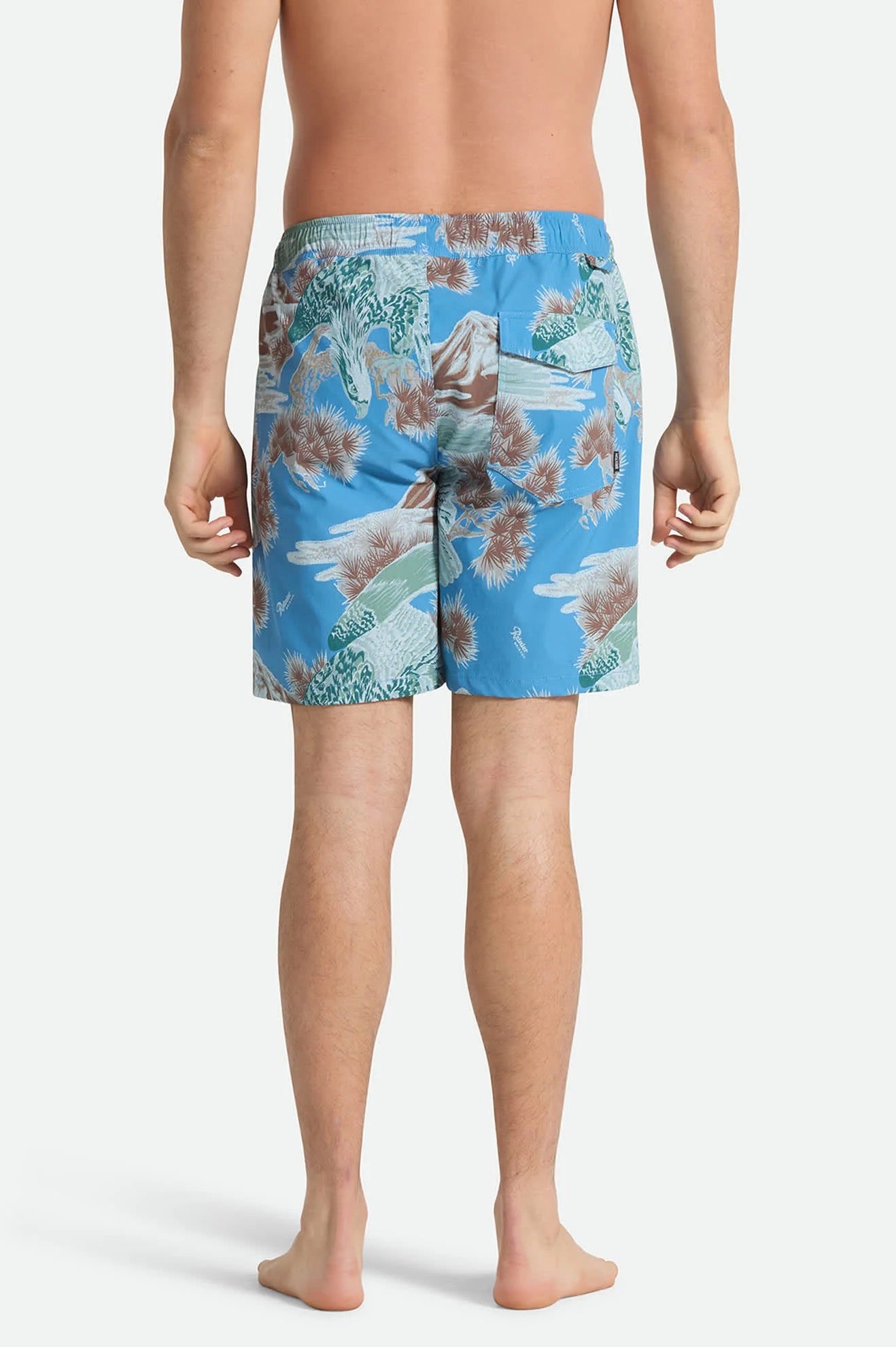 Brixton Everyday Hybrid Shorts Blue Sky Rainer