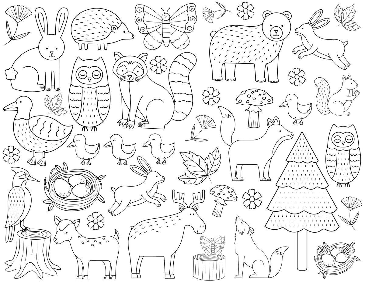 Colour Me Kids Solo Mat Kit - Woodland Wonders