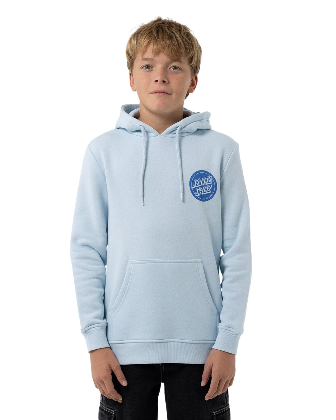 Santa Cruz Youth Reverse Dot Mono Hoodie Light Blue
