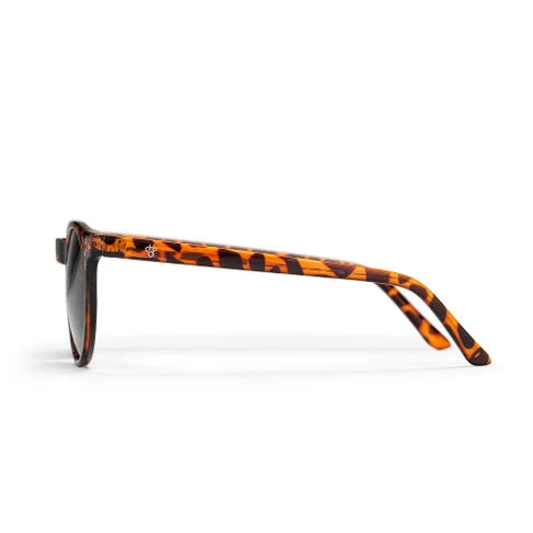 CHPO Brand Toro - Turtle Brown