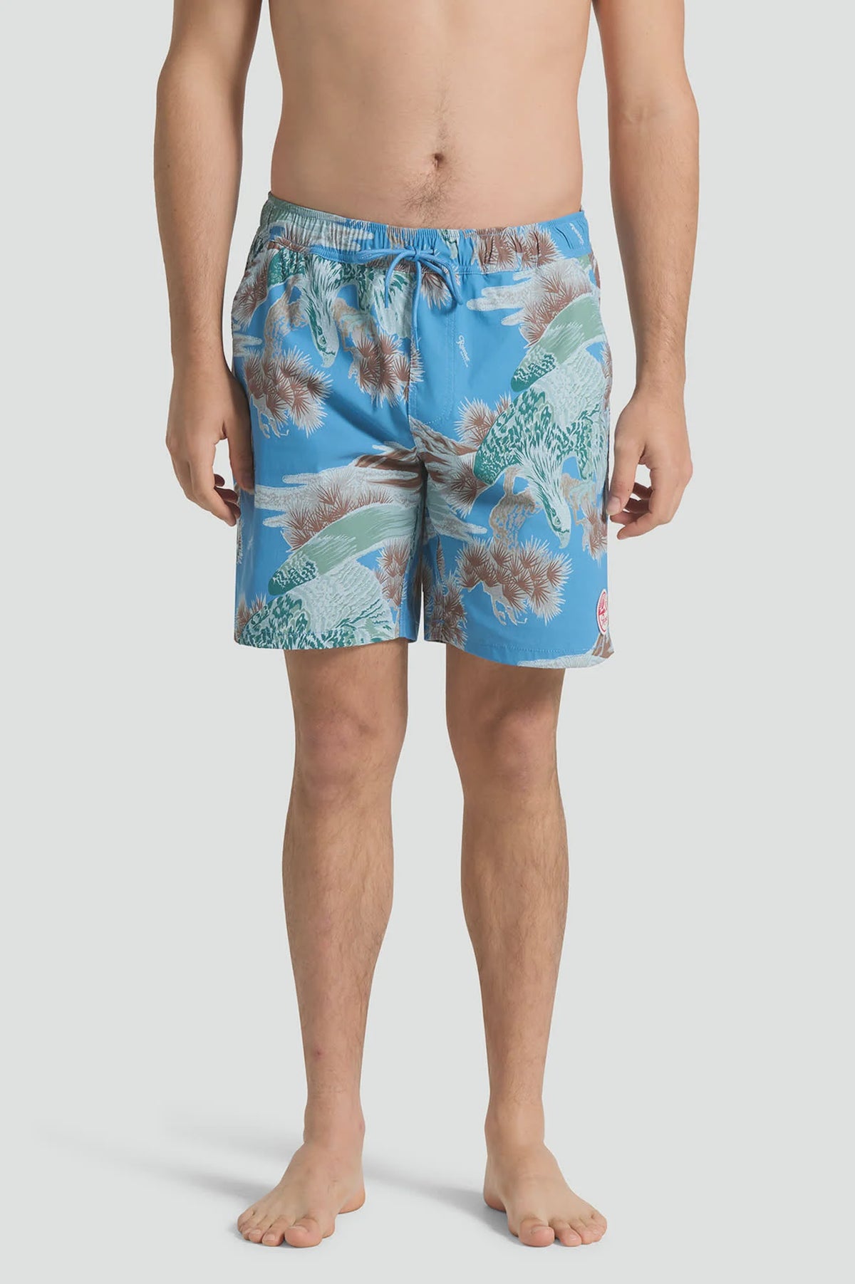 Brixton Everyday Hybrid Shorts Blue Sky Rainer