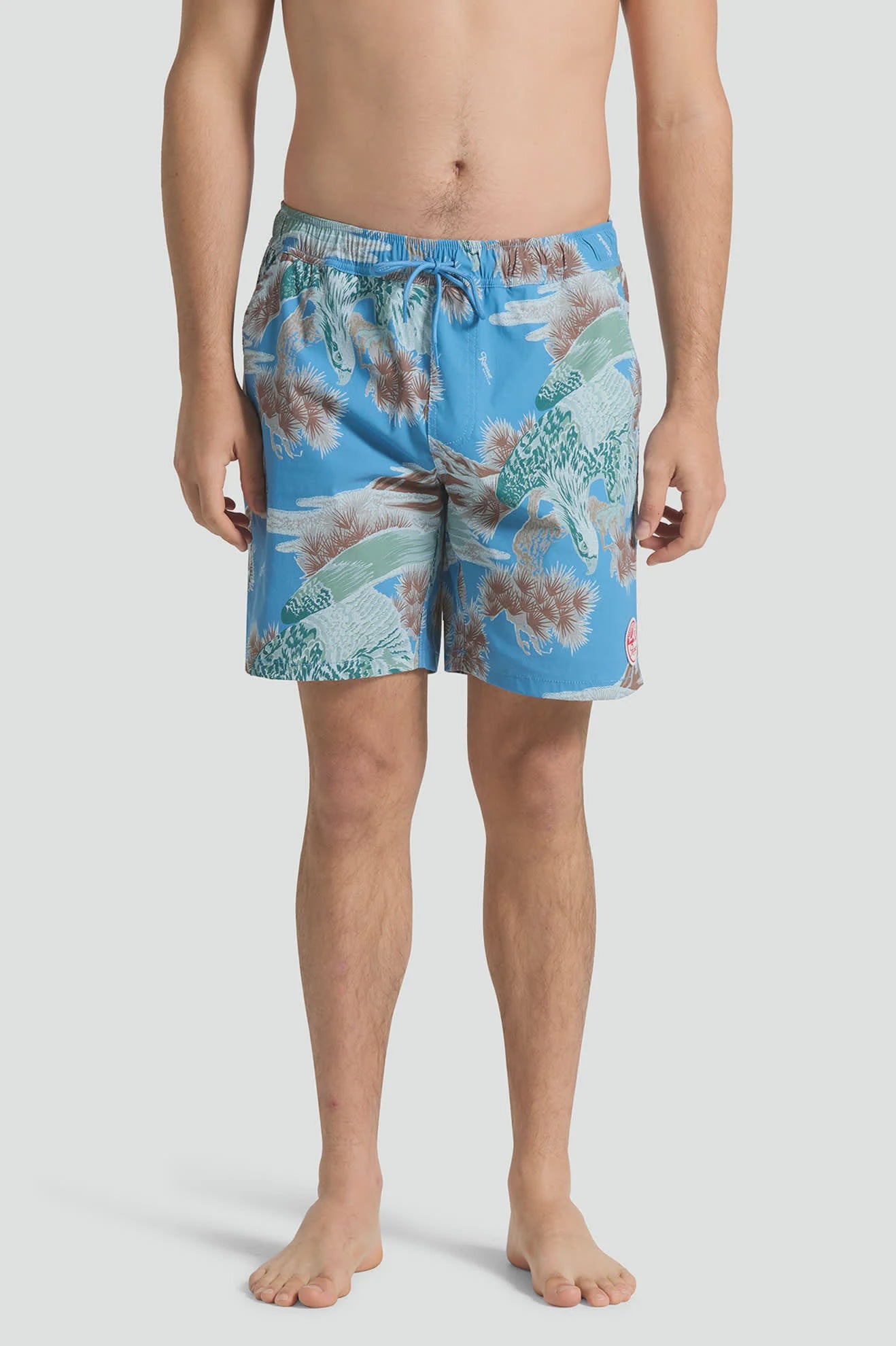 Brixton Everyday Hybrid Shorts Blue Sky Rainer
