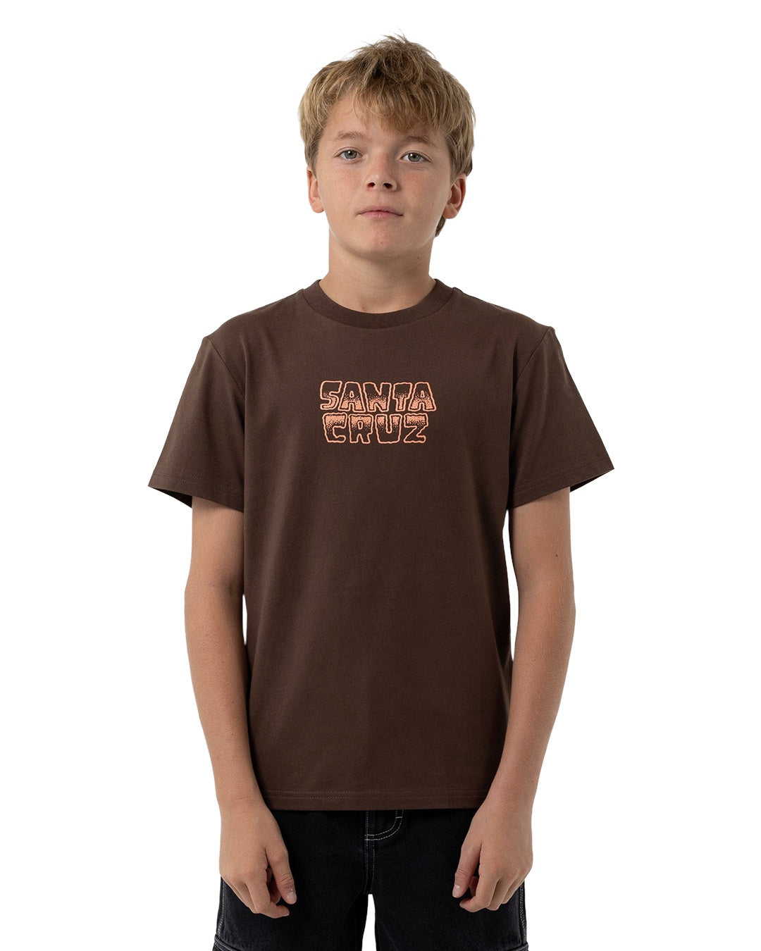 Santa Cruz Youth Multi Cruz Stack Centre Tee Brown