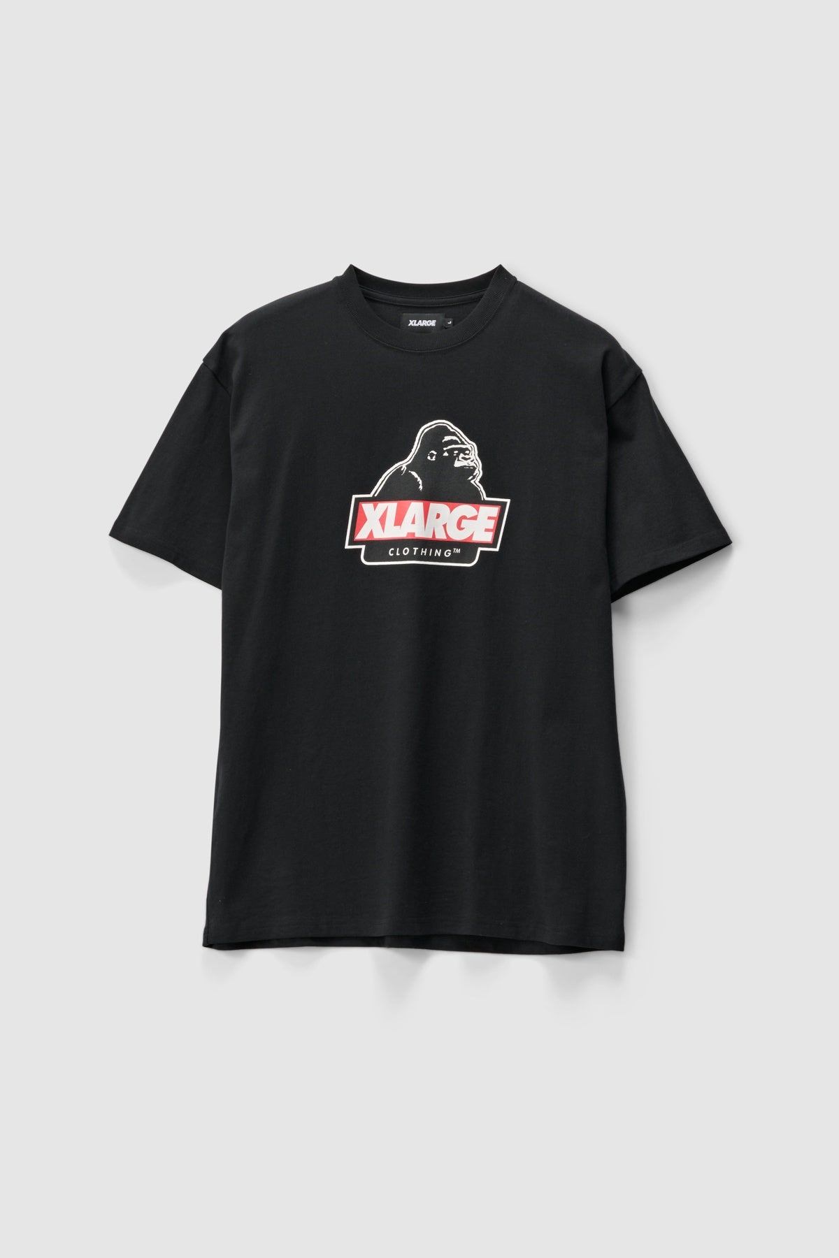 XLARGE Slanted SS Tee