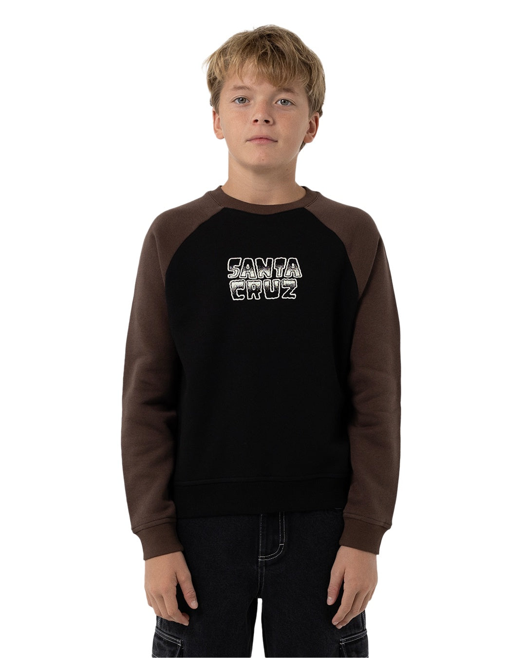 Santa Cruz Youth Multi Cruz Stack Mono Front Sweater Brown